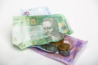Ukraynalı hryvnia ve madeni paralar. 