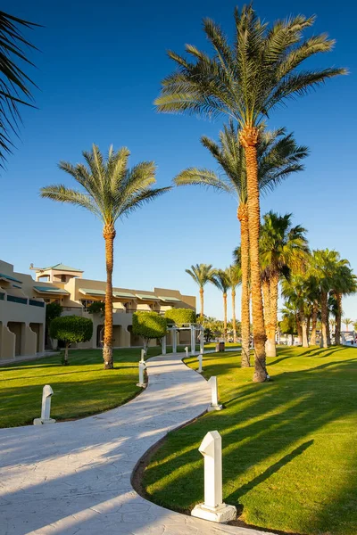 Coral Sea Holiday Resort Sinaí Egipto Febrero 2021 Senderos Hermosas Fotos de stock libres de derechos