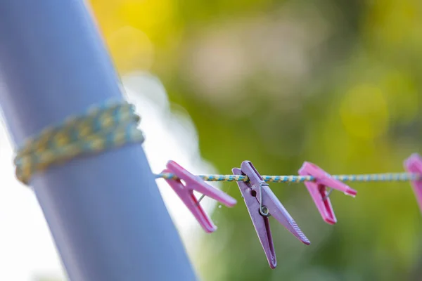 Pinces Linge Roses Bleues Accrochées Une Corde Linge Focalisation Sur Image En Vente