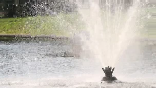 Fountain in the lake. Mezhyhiria. — Stock Video