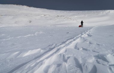 İsveç, Laponya 'da kızaklı bir kros kayakçısı..