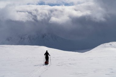 İsveç 'in başkenti Sarek' te kızaklı (pulka) kros kayakçısı. İsveç.