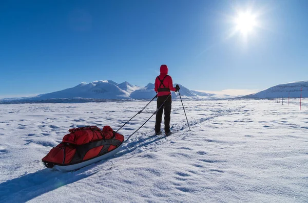 Female Cross Country Skier Sled Pulka Lake Enjoying View Ahkka — Stock Photo, Image