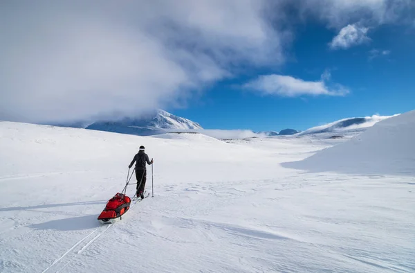 İsveç 'in başkenti Sarek' te kızaklı (pulka) kros kayakçısı. İsveç.