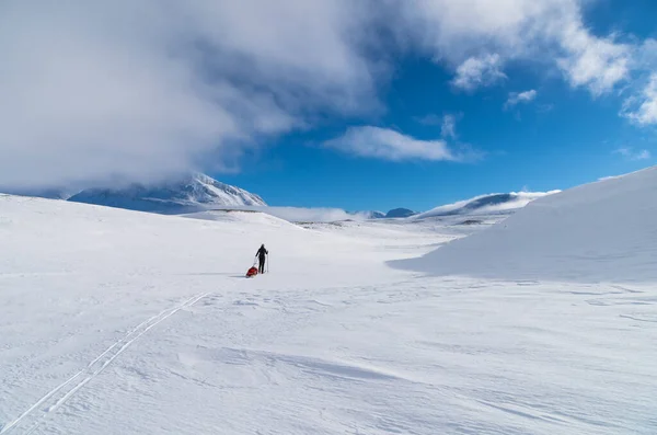Ulusal park Sarek 'te kızaklı (pulka) kros kayakçısı. Laponya, İsveç.