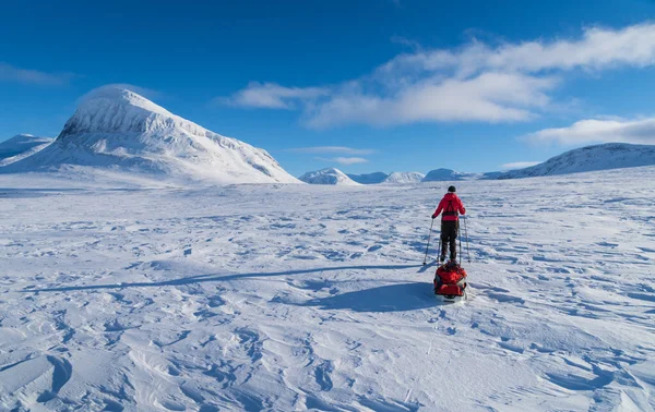 İsveç 'in başkenti Sarek' te kızaklı (pulka) kros kayakçısı. İsveç.