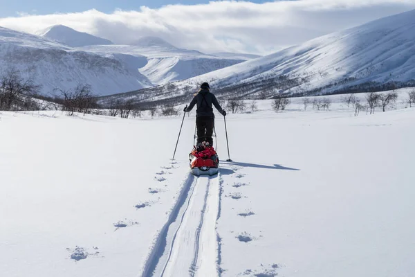 İsveç 'in başkenti Sarek' te kızaklı (pulka) kros kayakçısı. İsveç.
