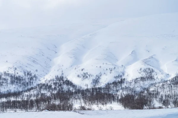 Forest Snow Covered Mountains Swedish Lapland Sarek National Park — Stock Photo, Image