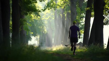 A man running in a lane of trees on a sunny, summer's morning.