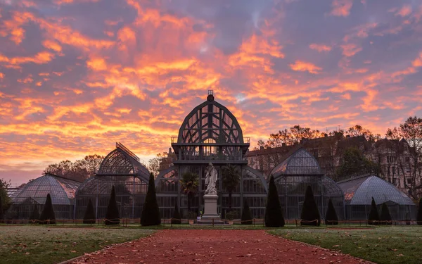 Lyon 'daki ünlü altın başlı (Parc de la Tete D' Or) serasında şafak söktü. Lyon, Fransa