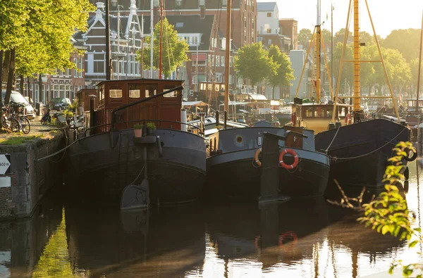 Tranquil Mood Noorderhaven Groningen Summer Sunrise Groningen Holland — ストック写真