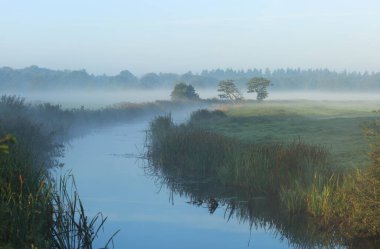 Sisli, Hollanda kırsalındaki küçük bir derede sonbahar gündoğumu. Drenthe, Hollanda.