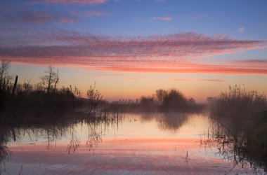 Hollanda, Drenthe 'deki bir sulak arazide renkli bir gün doğumu..