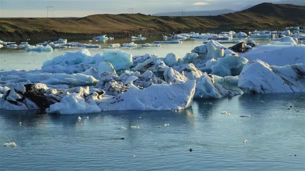 Phoques Nageant Entre Les Icebergs Dans Lagune Jokulsarlon Par Bel — Video