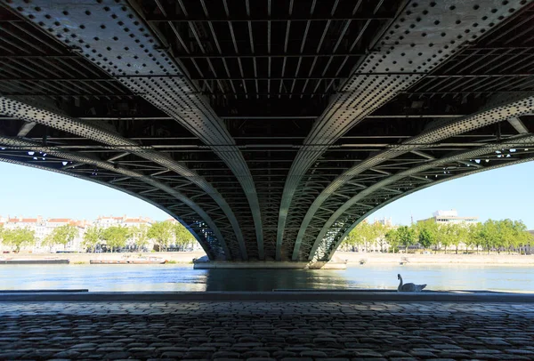 リヨンのローン川に架かる古い鉄橋の下の白鳥 — ストック写真