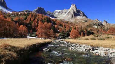 Fransa 'nın Vallee de la Claree kentindeki nehir ve karaçam ağaçları, sonbaharın açık bir gününde.