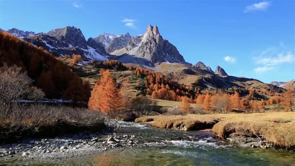 一条在秋天五彩缤纷的山水中流淌的河流 Vallee Claree 法国恩贾梅纳 — 图库视频影像
