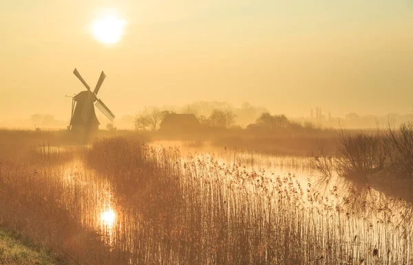 Foggy, spring sunrise with traditional Dutch windmill in the wetlands.