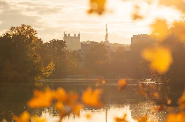 Осінній Настрій Кольори Ставку Parc Tete Ліон Франція — стокове фото