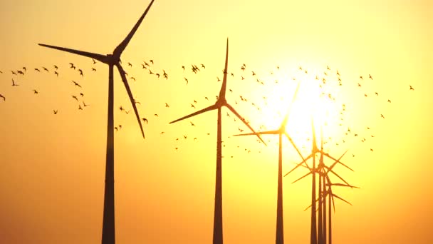 Flock Birds Front Row Modern Wind Turbines Generating Sustainable Energy — Stock Video