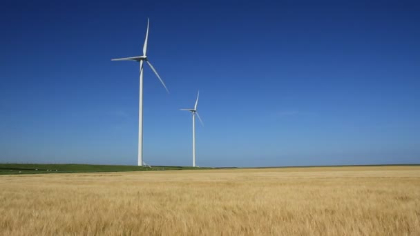 Two Modern Wind Turbines Generating Sustainable Energy Field Wheat — Stockvideo