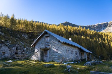 Güzel bir sonbahar sabahı Ticino dağlarında eski bir kulübe, rustico..