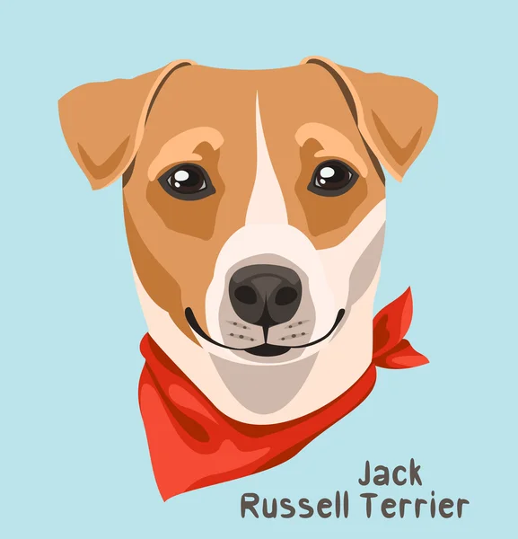 Portrait of a dog breed Jack Russell terrier with a bandage around his neck — Stock Vector