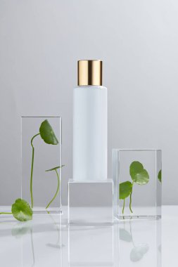 Centella asiatica (gotu kola), doğal güzellik ve organik kozmetik cilt ürünleri için yağ ve malzeme özütüyle yapılan laboratuvar deneyleri ve araştırmaları. Etiket bilimi konsepti için boş şişe.