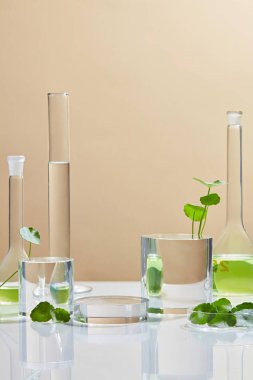 Centella asiatica (gotu kola) ile arka plan kozmetik araştırma ve geliştirme. Centella asiatikası olan biyo-cilt kremi ürünü. Doğal organik güzellik kozmetik konsepti.