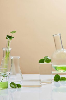 Centella asiatica (gotu kola) ile arka plan kozmetik araştırma ve geliştirme. Centella asiatikası olan biyo-cilt kremi ürünü. Doğal organik güzellik kozmetik konsepti.