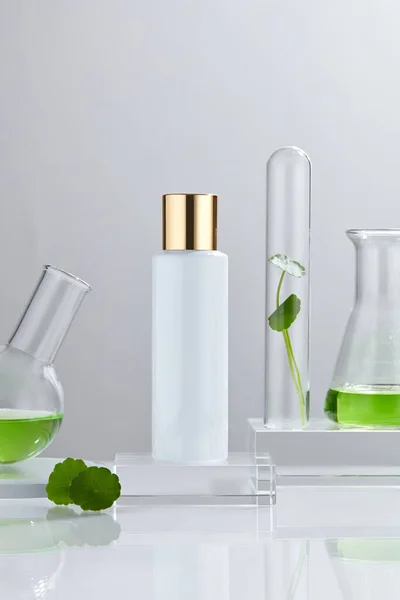 Laboratory Experiment Research Centella Asiatica Gotu Kola Oil Ingredient Extract — Stock Photo, Image