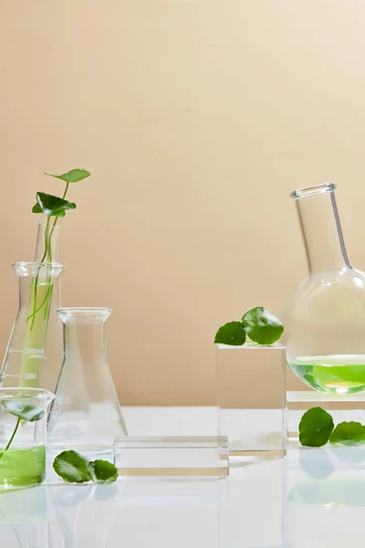 Hintergrund Kosmetische Laborforschung Und Entwicklung Mit Centella Asiatica Gotu Kola — Stockfoto