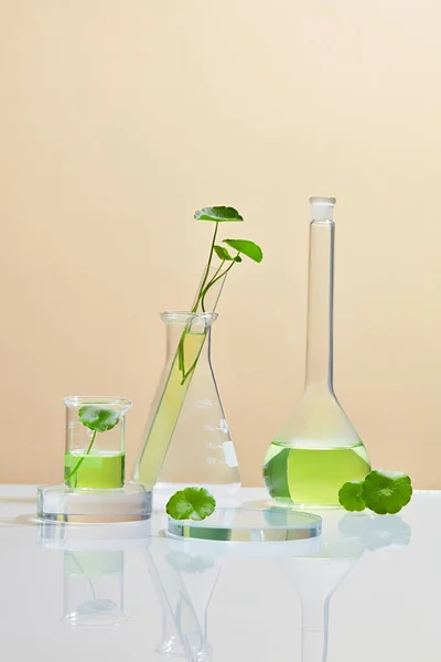 Bakgrund Kosmetisk Laboratorieforskning Och Utveckling Med Centella Asiatica Gotu Kola — Stockfoto