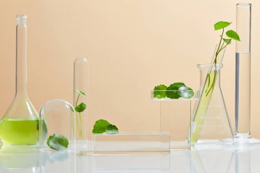 Centella asiatica (gotu kola) ile arka plan kozmetik araştırma ve geliştirme. Centella asiatikası olan biyo-cilt kremi ürünü. Doğal organik güzellik kozmetik konsepti.