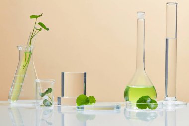 Centella asiatica (gotu kola) ile arka plan kozmetik araştırma ve geliştirme. Centella asiatikası olan biyo-cilt kremi ürünü. Doğal organik güzellik kozmetik konsepti.