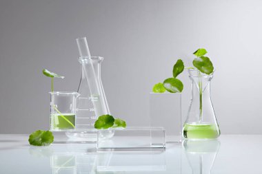Centella asiatica (gut kola) ile arka plan kozmetik araştırma ve geliştirme. Centella asiatikası olan biyo-cilt kremi ürünü. Doğal organik güzellik kozmetik konsepti.