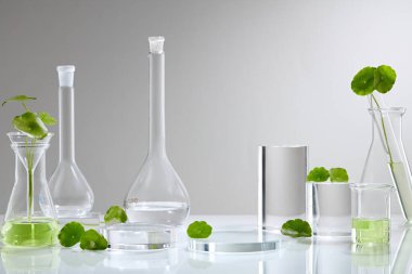 Centella asiatica (gut kola) ile arka plan kozmetik araştırma ve geliştirme. Centella asiatikası olan biyo-cilt kremi ürünü. Doğal organik güzellik kozmetik konsepti.