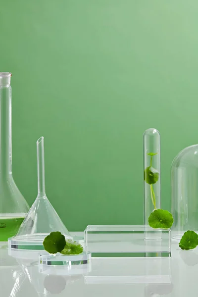 Biyolojik Deney Için Yeşil Arkaplan Centella Asiatikası Biyolojik Test Tüplerinde — Stok fotoğraf