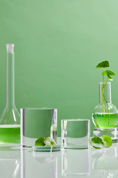Biyolojik Deney Için Yeşil Arkaplan Centella Asiatikası Biyolojik Test Tüplerinde — Stok fotoğraf