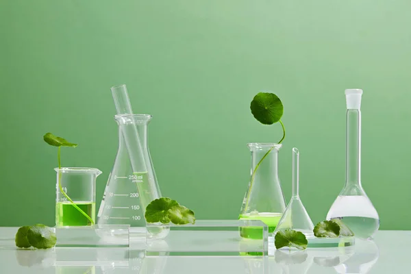 Centella Asiatica Achtergrond Cosmetica Mooi Biologisch Laboratorium Geneeskunde Ingrediënten Producten — Stockfoto