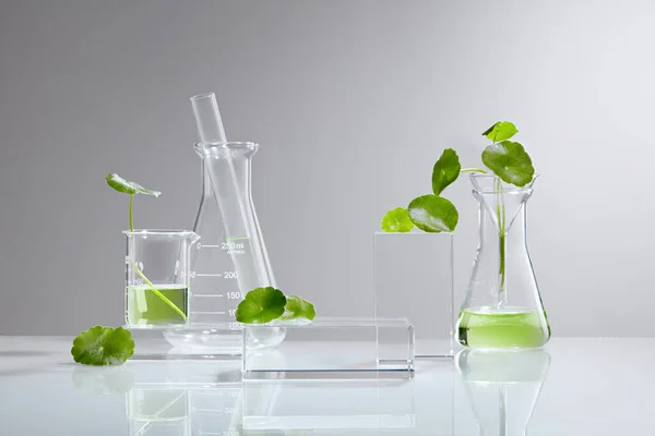 Background Cosmetic Laboratory Research Development Centella Asiatica Gout Kola Science — Stock Photo, Image