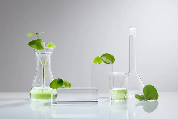 Contexte Recherche Développement Laboratoire Cosmétique Avec Centella Asiatica Goutte Kola — Photo