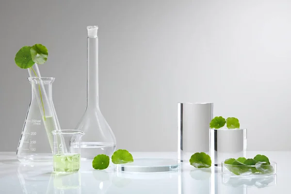 Background Cosmetic Laboratory Research Development Centella Asiatica Gout Kola Science — Stock Photo, Image