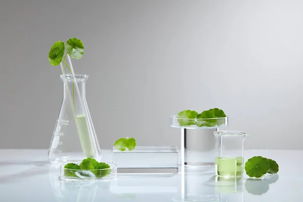 Background Cosmetic Laboratory Research Development Centella Asiatica Gout Kola Science — Stock Photo, Image