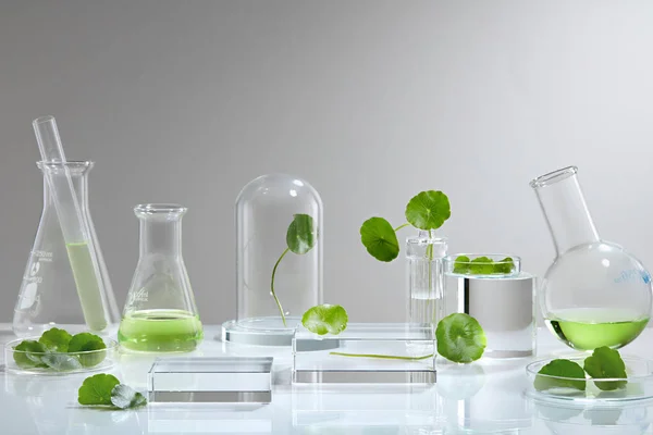 Background Cosmetic Laboratory Research Development Centella Asiatica Gout Kola Science — Stock Photo, Image