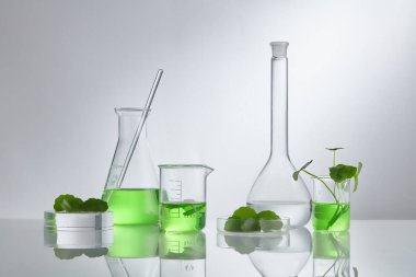 Centella asiatika özüyle bilimsel deney. Kozmetik şişe kapları için boş podyum camı.