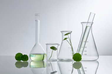 Centella asiatika özüyle bilimsel deney. Kozmetik şişe kapları için boş podyum camı.