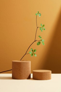 Yunan tarzı podyumda yeşil arka planda Centella asiatica içerikli kozmetik ürünleri şişeleri. Minimalizm tarzı