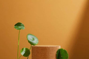 Yunan tarzı podyumda yeşil arka planda Centella asiatica içerikli kozmetik ürünleri şişeleri. Minimalizm tarzı