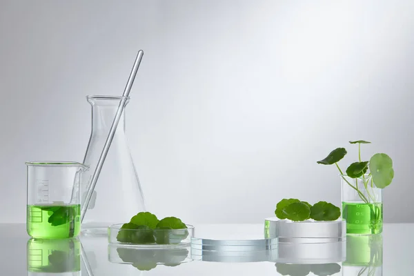 Tudományos Kísérlet Centella Asiatica Kivonattal Üres Pódiumüveg Kozmetikai Flakonokhoz — Stock Fotó